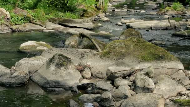 Kleiner Gebirgsfluss im Sommer — Stockvideo