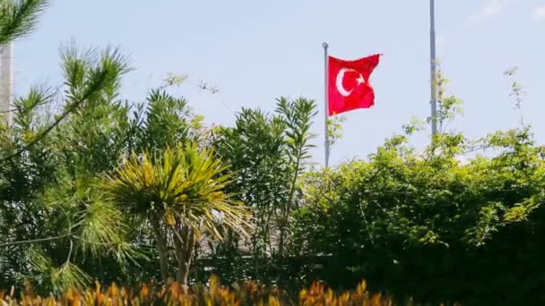 Nationale vlag van Turkije zwaaien in de wind in zonnige dag met sky en bomen op de achtergrond — Stockvideo