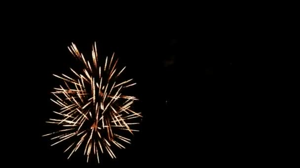 feux d'artifice dans le ciel nocturne