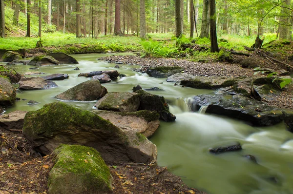 Mountain stream in a forest — Stock Photo, Image