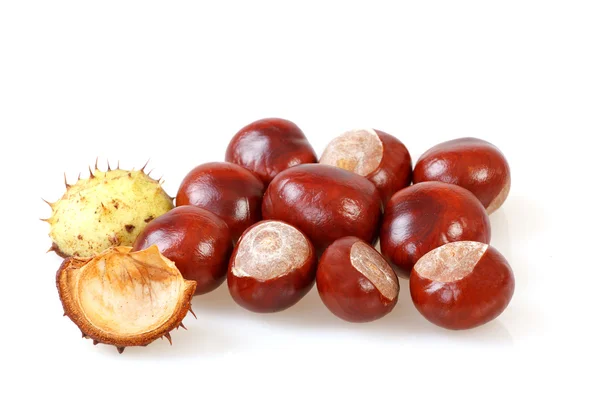 Chestnut with crust on a white — Stock Photo, Image