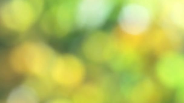 Lumière bokeh naturelle verte réaliste 