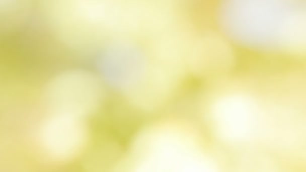 Lumière bokeh naturelle verte réaliste 