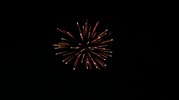 feux d'artifice dans le ciel nocturne