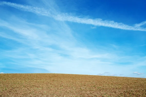 Bonito campo de otoño con claro horizonte y cielo azul — Foto de Stock