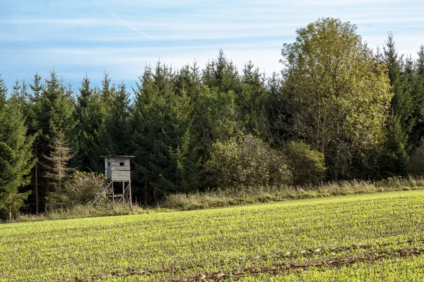 Herbstlandschaft mit Jagdbryony — Stockfoto