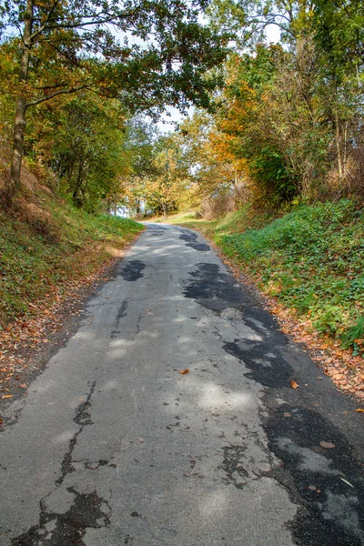 Estrada no outono com árvores amarelas — Fotografia de Stock