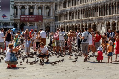 16. Temmuz 2012 - San güvercinler ile marco plaza 3 Venedik, İtalya