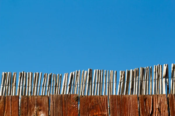 Тростниковый забор — стоковое фото