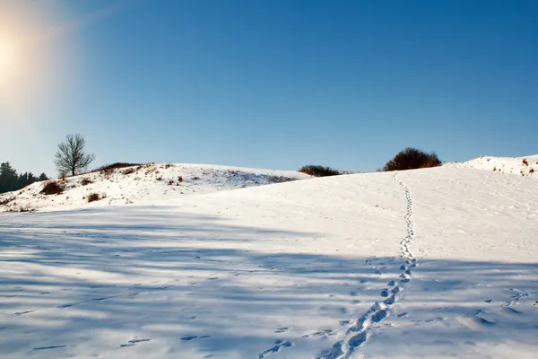 Vinter scen — Stockfoto