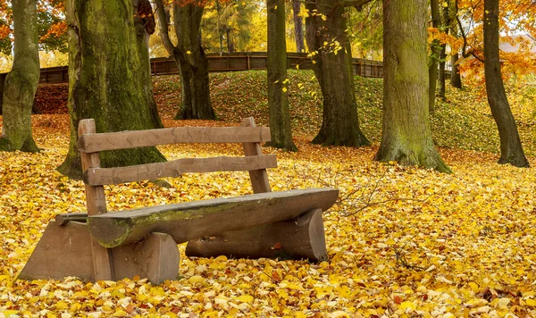 Parktaki ahşap bank. — Stok fotoğraf