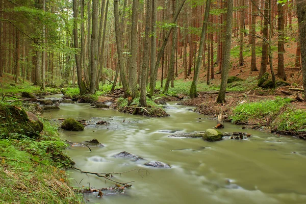 Small creek — Stock Photo, Image