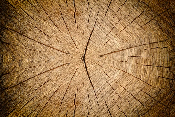 木蹩脚的背景 — 图库照片