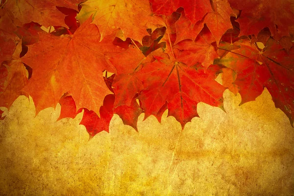 Grunge red autumn leaves frame — Stock Photo, Image