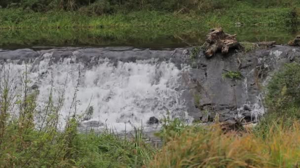 Kleine weir in een rivier — Stockvideo