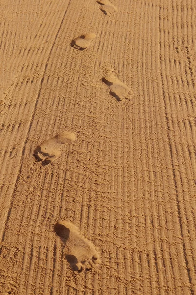 海岸の砂に足跡を残し — ストック写真