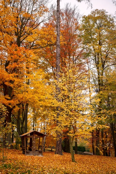 Otoño en el parque con hojas amarillas en el suelo — Foto de Stock