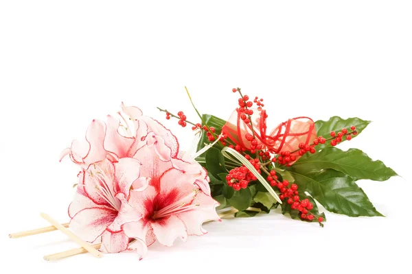 Bouquet de fleur de lys rose sur blanc — Photo