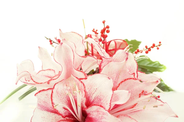 Détail du bouquet de fleur de lis rose sur blanc — Photo