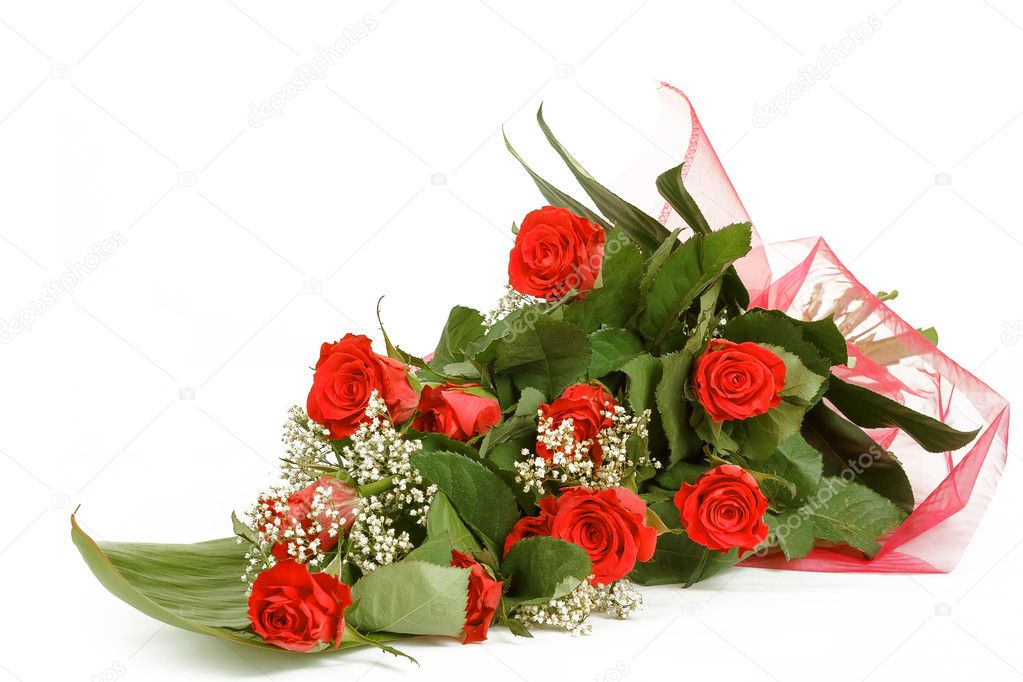 Bouquet of fresh red roses on white