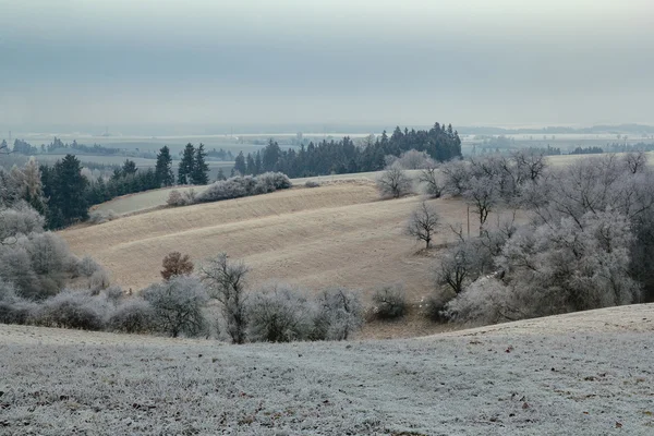 Bewölkte gefrorene Landschaft — Stockfoto