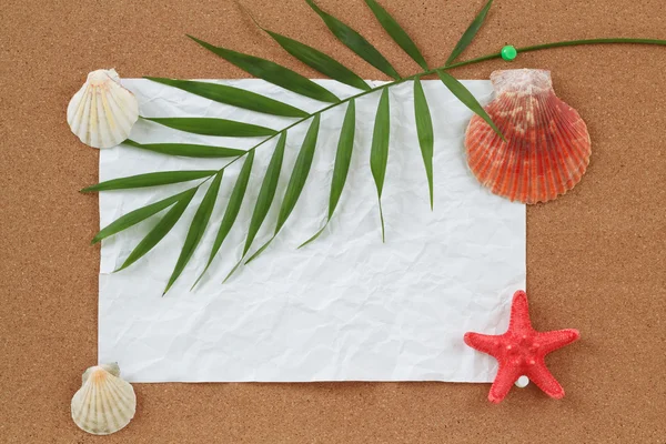 Background with blank crumpled paper, seashells, palm leave and seashell