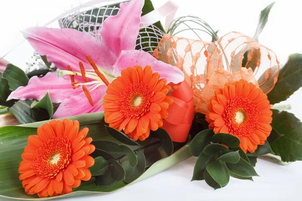 Bouquet frais de germes d'orange — Photo