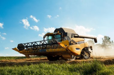 var altın buğday hasat alanı birleştirmek
