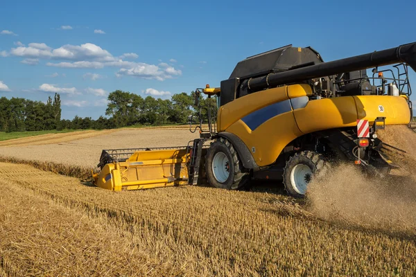 Yellov combiner sur la récolte au champ de blé d'or — Photo