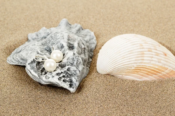 Zwei Perlenohrringe und Muscheln auf Sand — Stockfoto