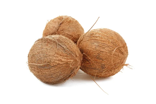 Coconut on a white background — Stock Photo, Image