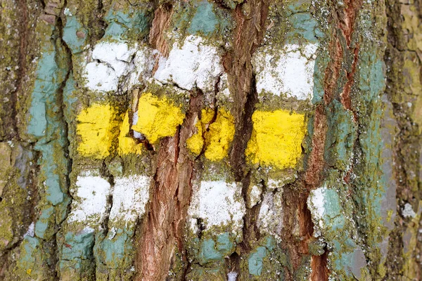 Tree bark texture with turistic sign — Stock Photo, Image