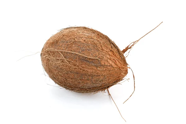 Coconut on a white background — Stock Photo, Image