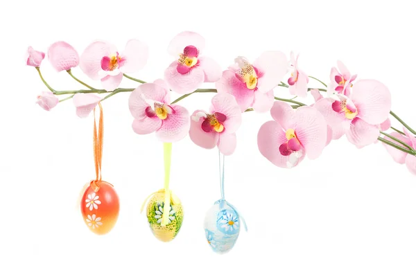 Pendu oeufs de Pâques de couleur vive avec des arcs sur fleur de printemps — Photo