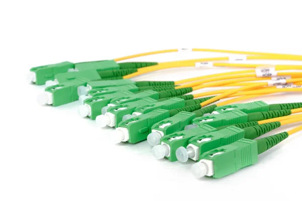 Conectores SC de fibra óptica verde — Fotografia de Stock