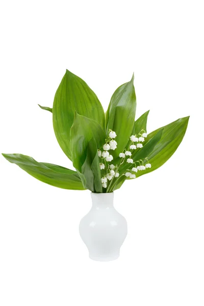 Blooming Lily of the valley — Stock Photo, Image