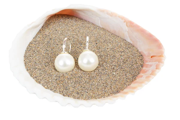 Two pearl earrings and sea shells on white — Stock Photo, Image