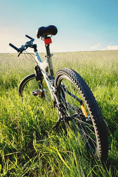 牧草地に止めておいた自転車 — ストック写真
