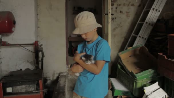 Menino segurando e acariciando um gatinho — Vídeo de Stock