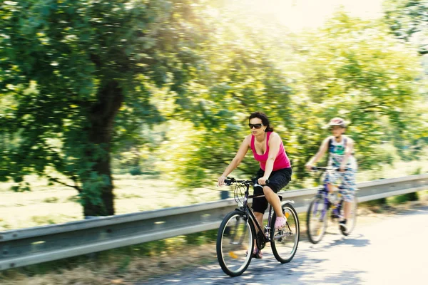Madre con hijos en viaje en bicicleta —  Fotos de Stock