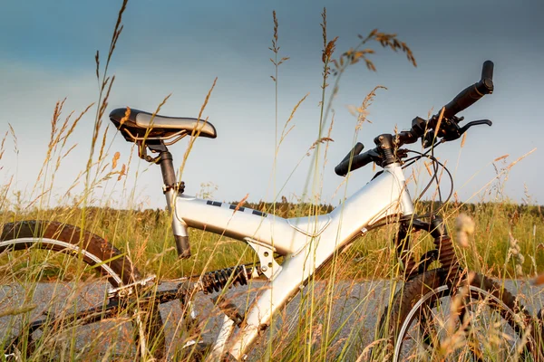 Ποδήλατο που σταθμεύουν σε ένα λιβάδι — Φωτογραφία Αρχείου