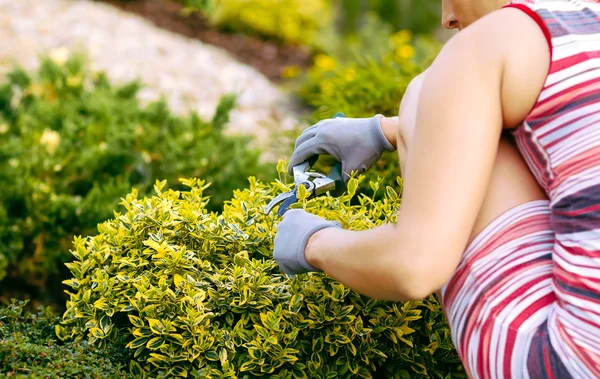 Détail de femme jardinage à la main — Photo