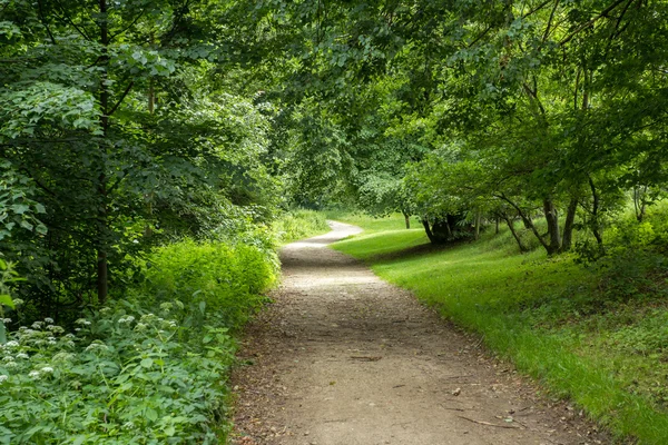 Vidéki erdei ösvényen a parkban — Stock Fotó
