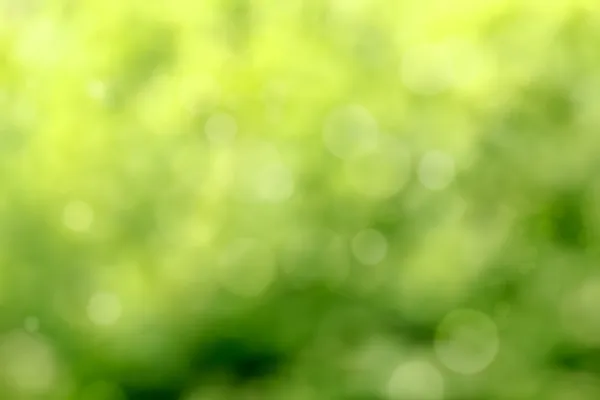 Beautiful green Bokeh for background — Stock Photo, Image