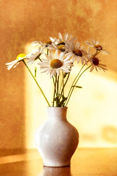 Daisy flower in white vase with shallow focus — Stock Photo, Image