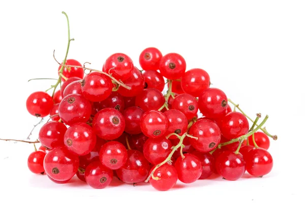 Kupie jagody czerwone porzeczki na białym tle — Zdjęcie stockowe