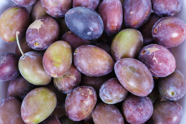 Prunes violettes et vertes acides (ronces) ) — Photo