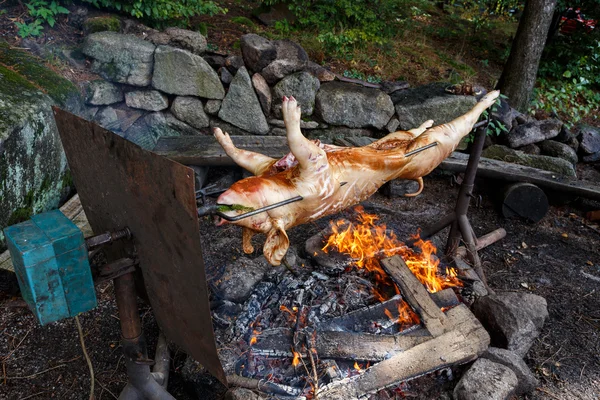 Porcellino alla griglia in esterno — Foto Stock