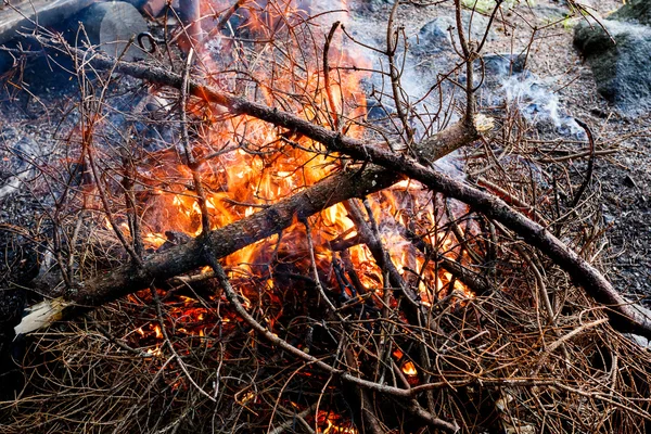 Buiten brandhout branden in open haard — Stockfoto