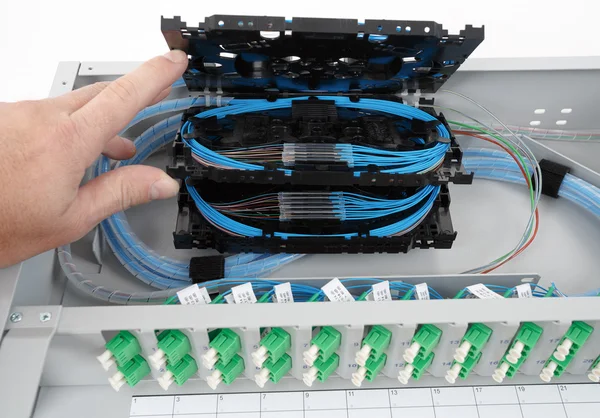 Fiber optic splice cassettes — Stockfoto